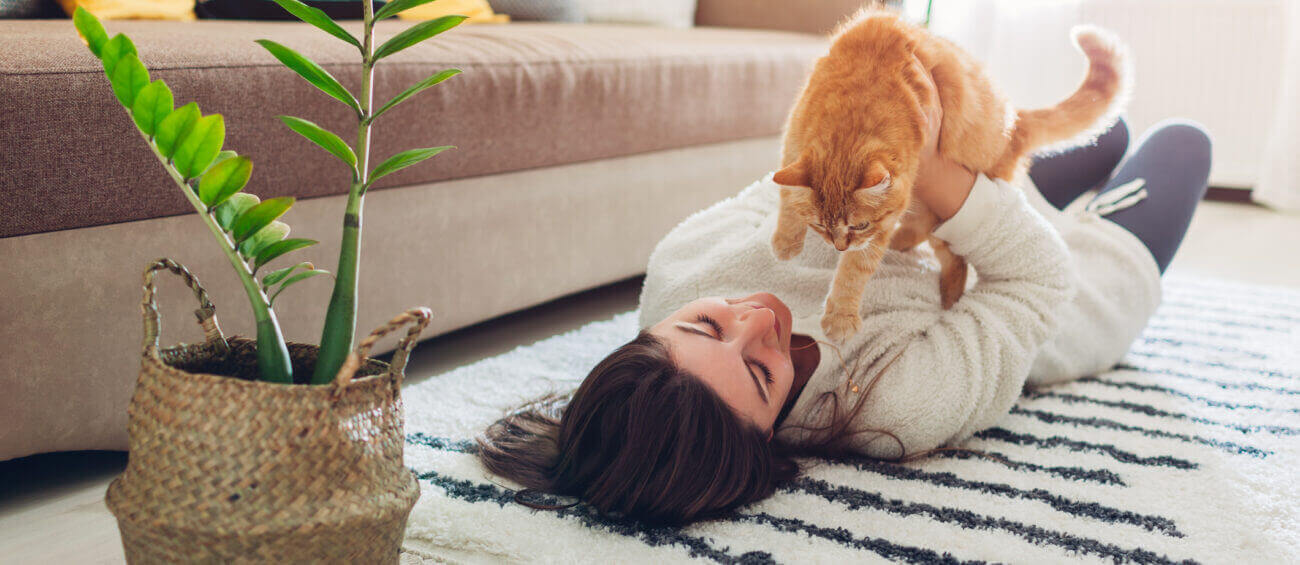 Banken met deze stof zijn geschikt voor katten