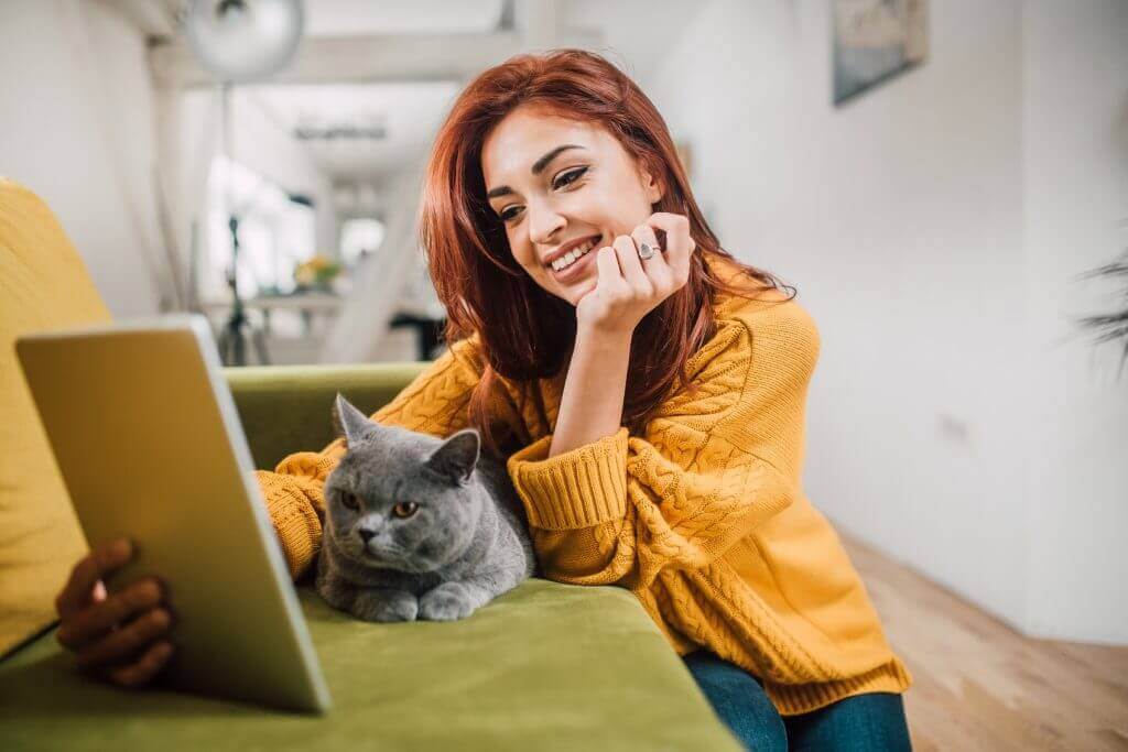 Checklist: is jouw bankstel bestand tegen katten?