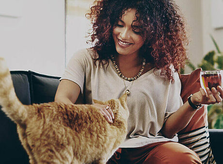 Checklist: is jouw bankstel bestand tegen katten?