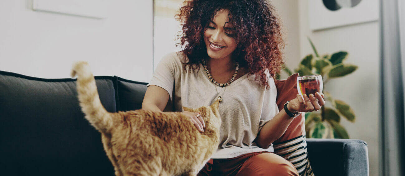 Checklist: is jouw bankstel bestand tegen katten?