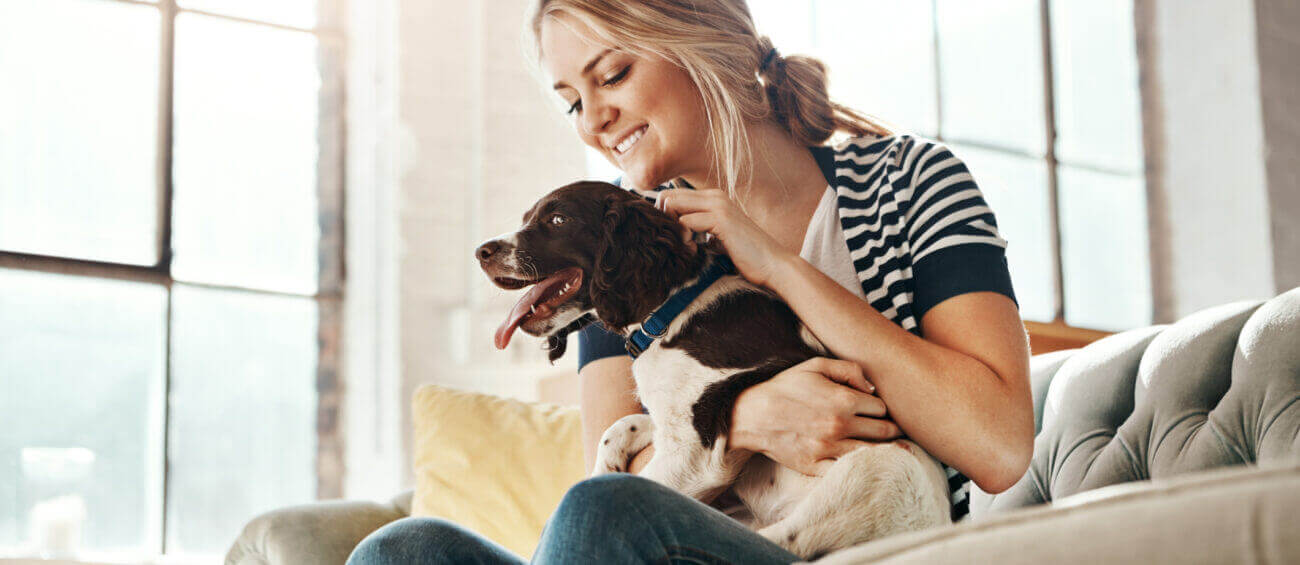 Jouw bank is niet voor de hond. Bescherm je meubel.