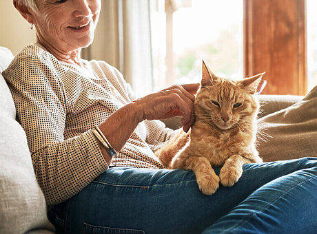 Help! Mijn kat maakt de bank kapot