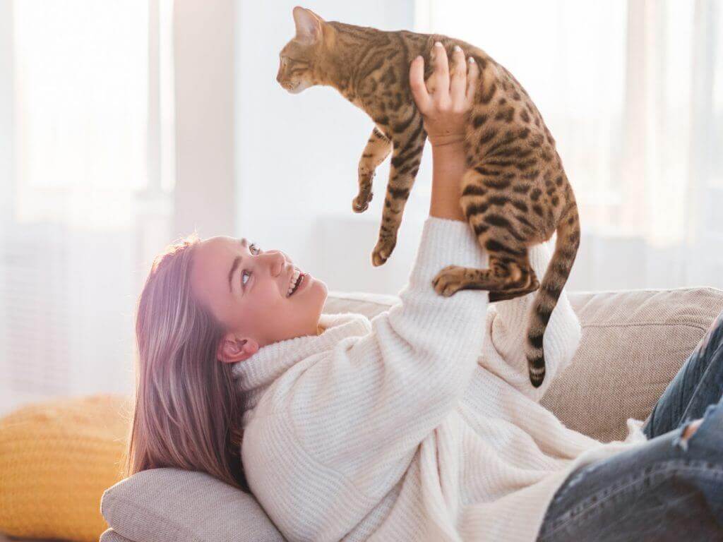 Zetel geschikt voor katten: kat op een microvezel zetel
