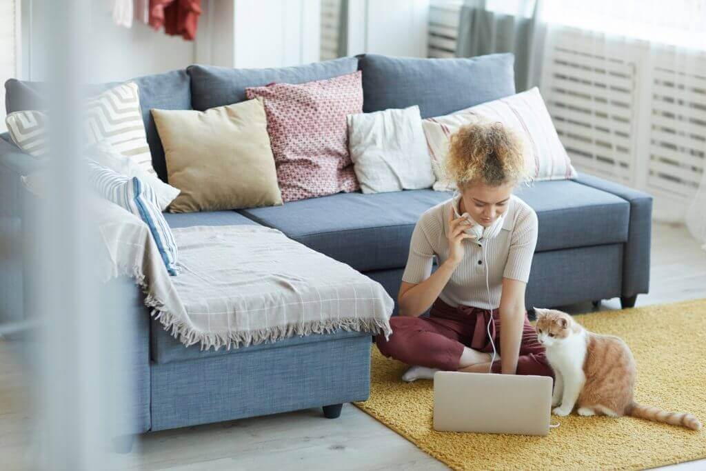 Canapé adapté aux chats dans le salon