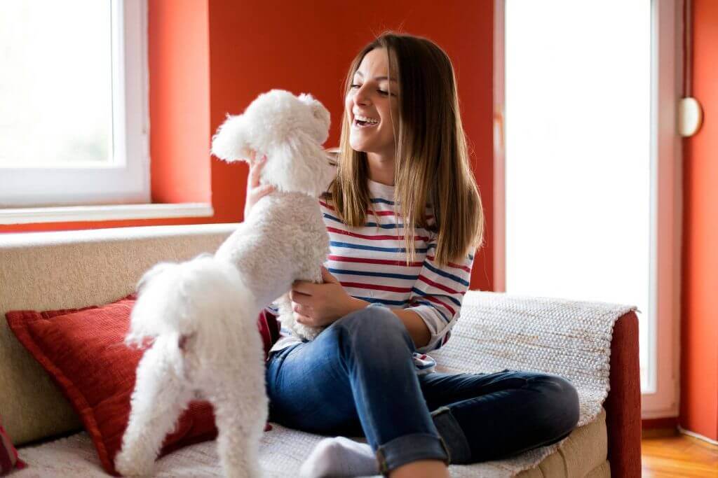 Chien allongé calmement sur un canapé robuste
